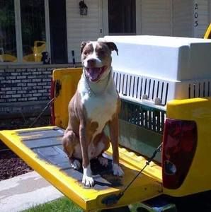 Meet your Posher, Alexa